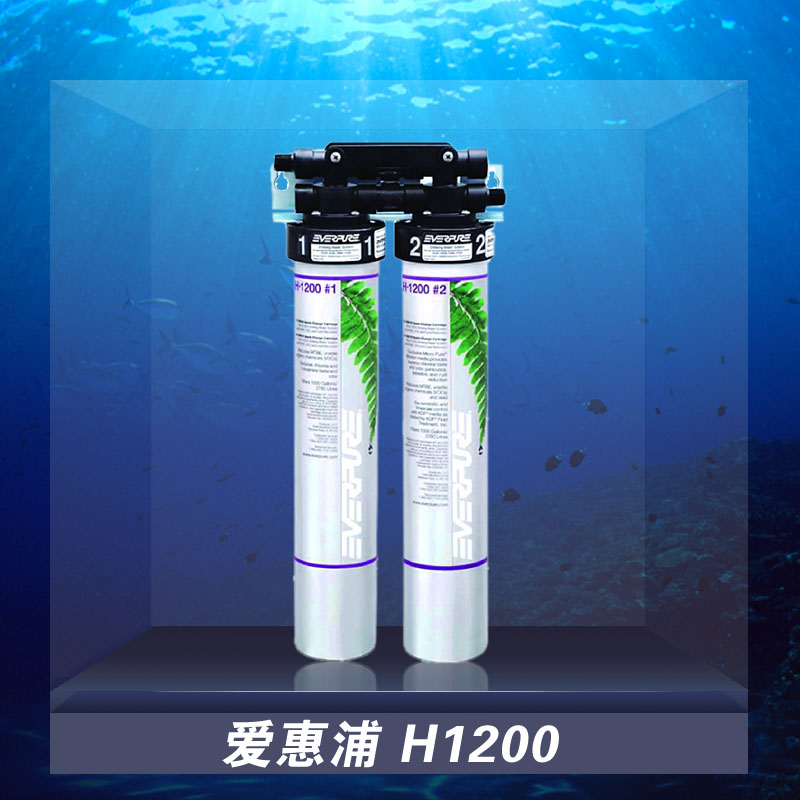 爱惠浦H1200滤芯组