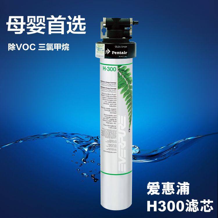 爱惠浦净水器H300滤芯