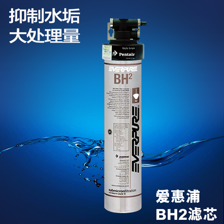 爱惠浦Everpure EV961251 bh2净水器滤芯
