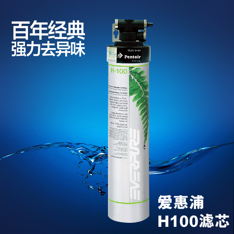 爱惠浦Everpure EV912116 H100净水器滤芯