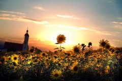 健康饮水有讲究 爱惠浦净水器“让家人安心喝好