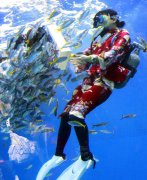 欢庆元旦，爱惠浦净水器品牌“净”万家