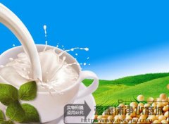 饮水生涯之豆浆，如是也有大学问