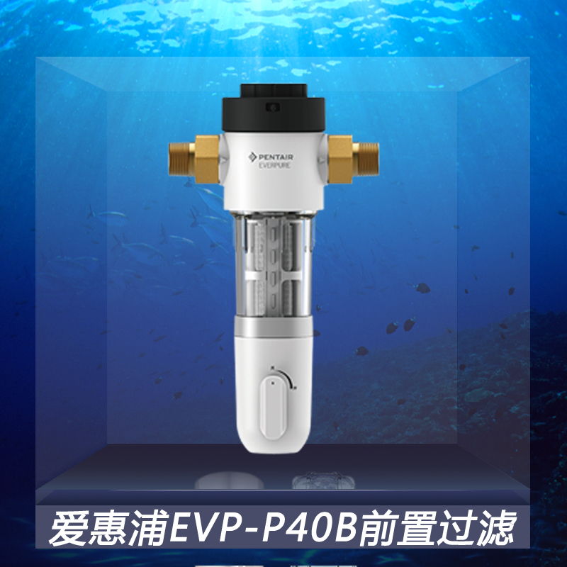 爱惠浦EVP-P40B前置过滤器 入户全屋过滤