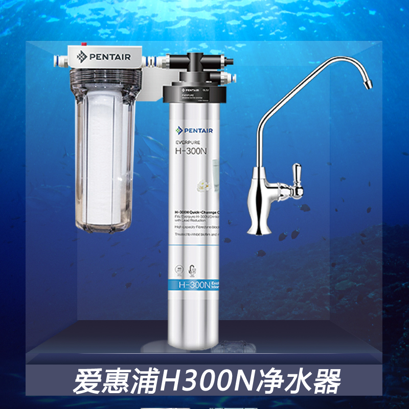 爱惠浦H300N母婴净水器