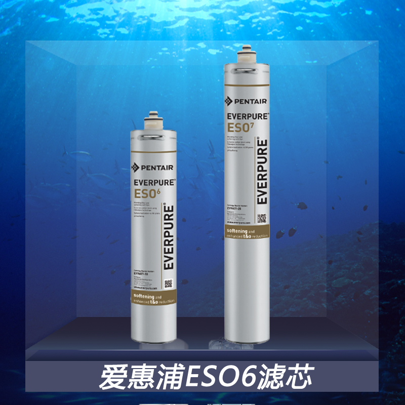 爱惠浦ESO6净软一体净水器滤芯